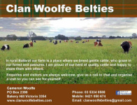 Clan Woolfe Belties